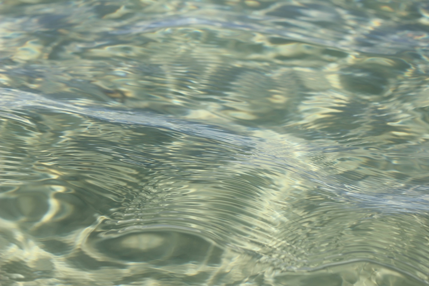 SOS[Shape of Silence]