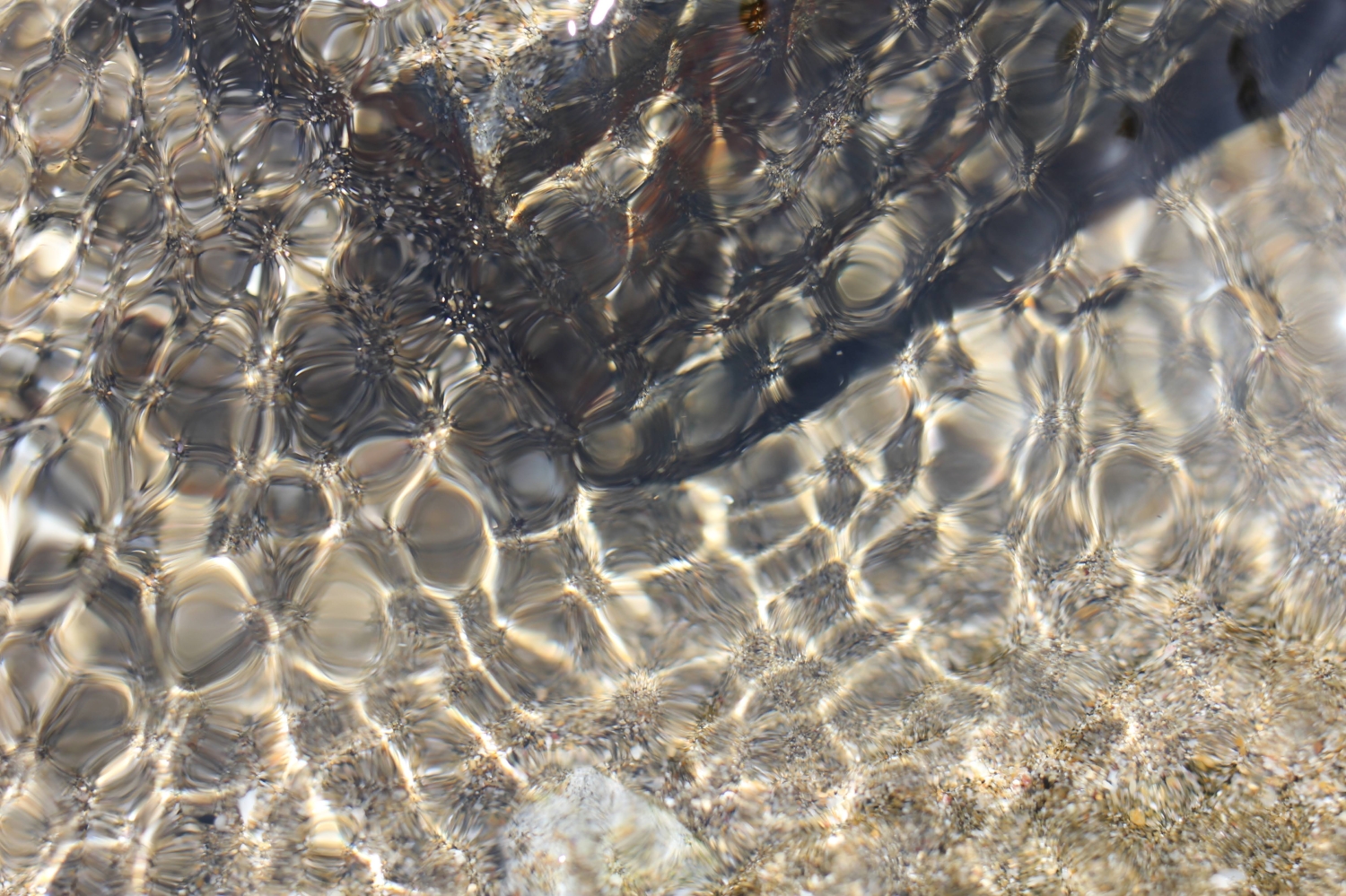 SOS[Shape of Silence]