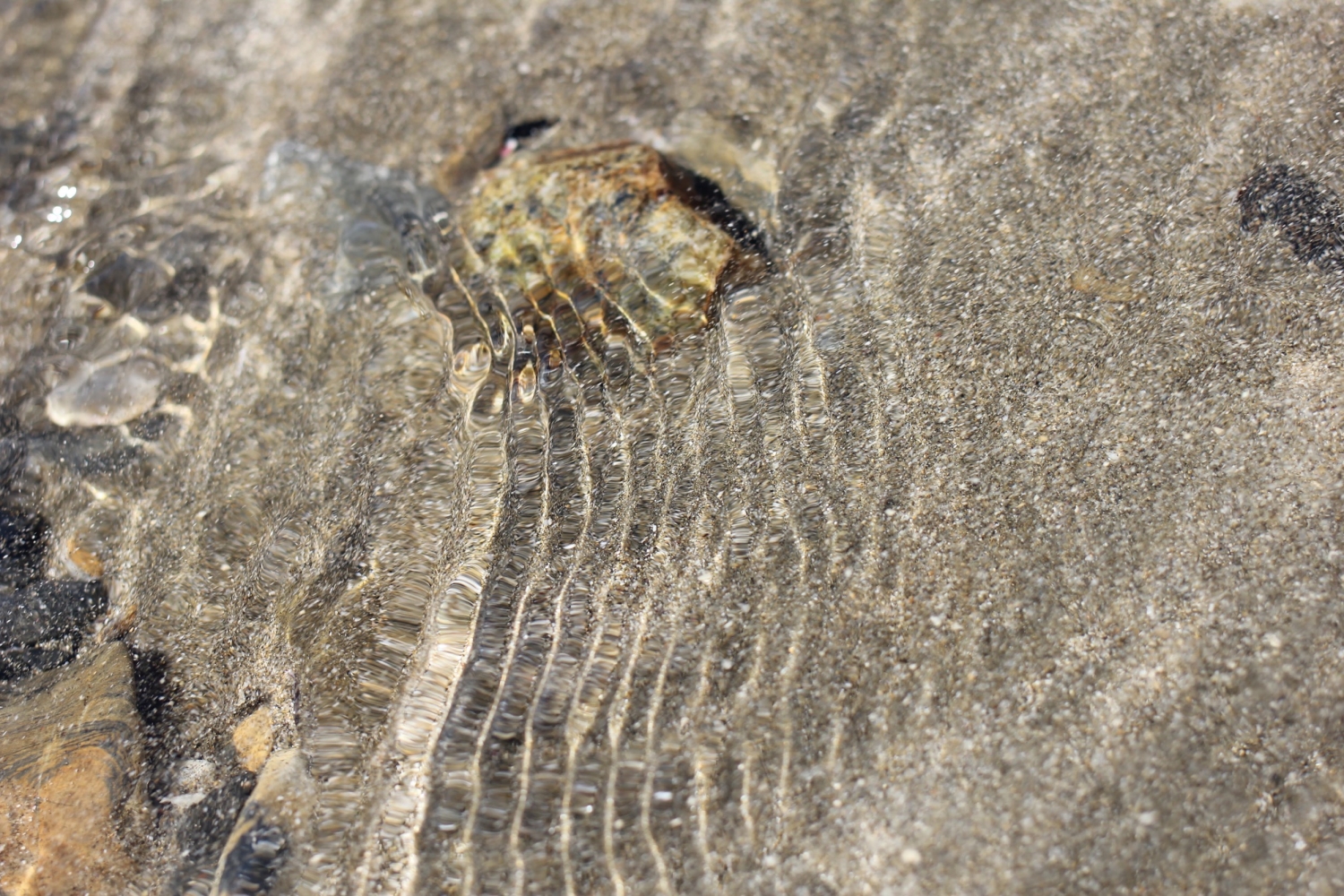 SOS[Shape of Silence]