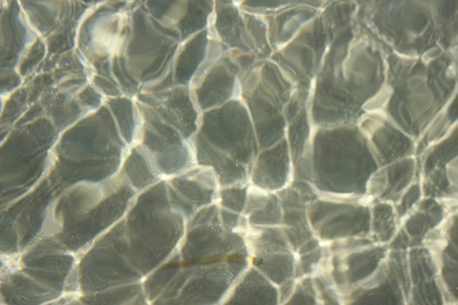 SOS[Shape of Silence]